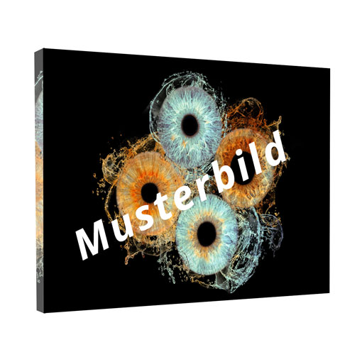 Iris Foto Acrylglas 40er