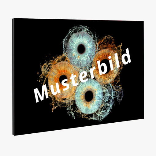 Iris Foto Alu Dibond 40er